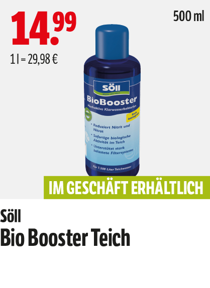 Angebot Teich 03