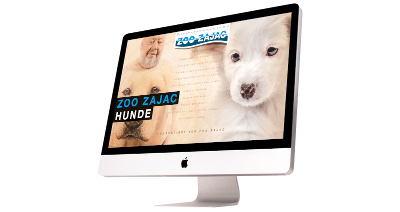 Hunde 10