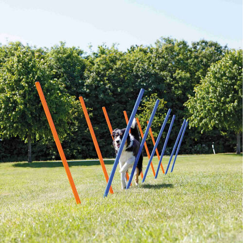 Trixie Fun Agility Slalom  3x115cm 12 St. blau/orange Bild 2