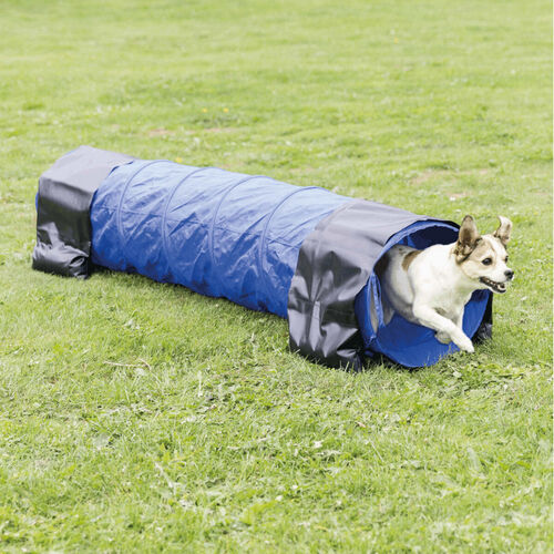 Trixie Fun Agility Mini Tunnel  40 cm/2 m blau