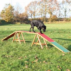 Trixie Fun Agility Steg 456x64x30cm Kiefernholz/lasiert